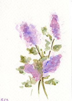 Lilacs Shirley J Steiner Richland Center WI watercolor  SOLD
